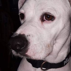 Meet your Posher, Theresa